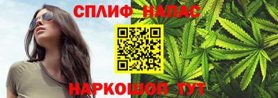 стафф Ефремов