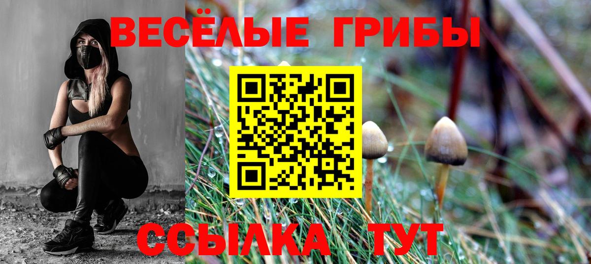 Галлюциногенные грибы прущие грибы  Вход с VPN  Благодарный  Псилоцибиновые грибы GOLDEN TEACHER 